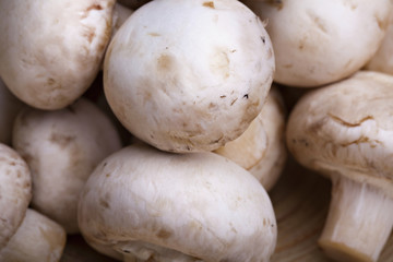 Edible white button or champignon mushrooms