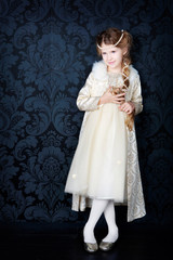 beautiful little girl in princess dress with long hair