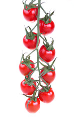 Fresh cherry tomatoes