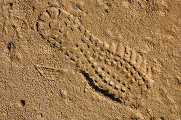 Fototapeta na wymiar Mud track - footprint