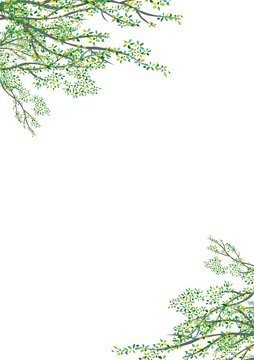 木々2