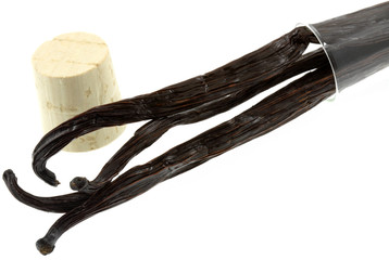 vanille Bourbon, tube à essai, fond blanc