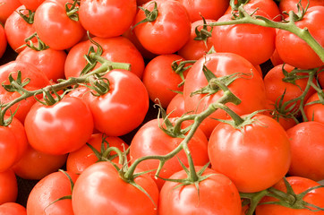 Tomaten auf dem Markt