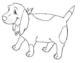 Hund, Halstuch, Freund, gassi, spazieren, Kumpel