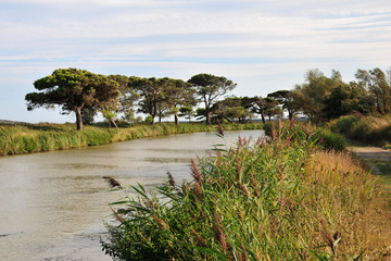 Canal du Midi