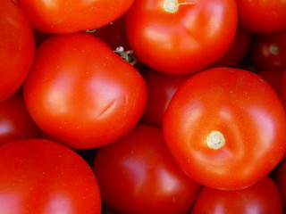 Tomates rouges