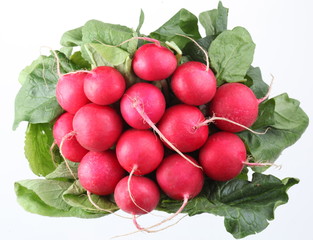 bunch of radishes on a white background