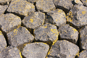 Basalt rocks coverd with moss at the dutch shore