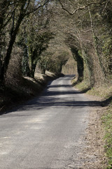 Fototapeta premium Rural country lane Hampshire, England.