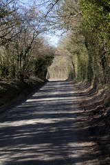Fototapeta premium Rural country lane Hampshire, England.