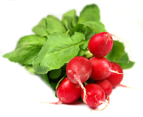 a bunch of radishes