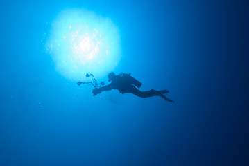silhouette of a diver