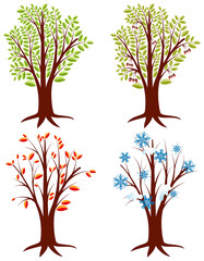 Tree Seasons
