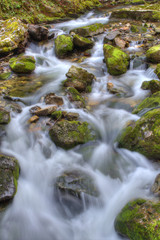 Cauce del r&iacute;o.