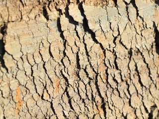 Risse im Boden