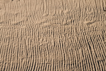 Lignes sableuses