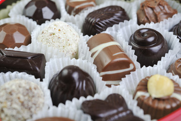 chocolate and praline