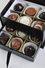chocolate and praline