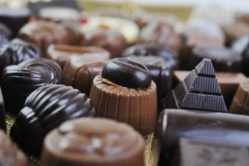 chocolate and praline