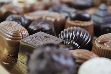 chocolate and praline