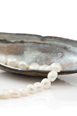 Pearls in seashell