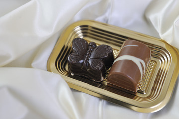 chocolate and praline