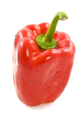 Fresh paprika
