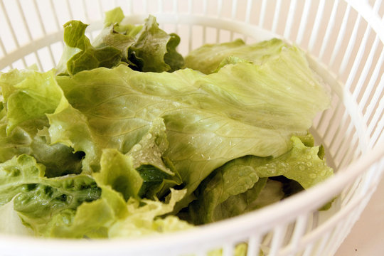 salade fra&icirc;che