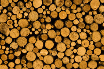 wood-wall-3