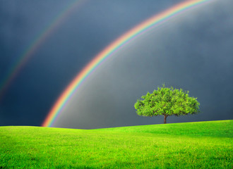 Green field with tree and double rainbow
