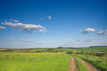 rural landscape