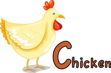 animal alphabet C for chicken