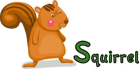 animal alphabet S for squirrel