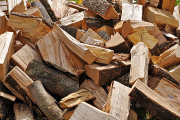 Pile of firewood logs