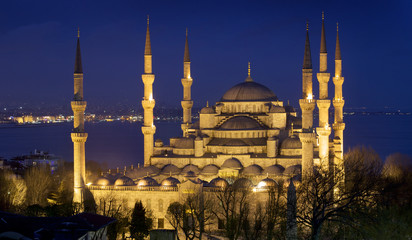 Fototapeta premium Blue mosque Istanbul