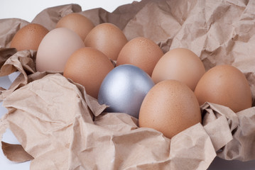 silver egg innovation