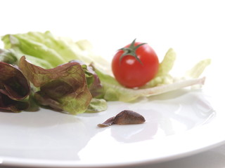 Salat mit Schnecke