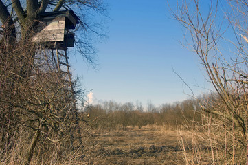 Anitz am Rande des Vogelreservats in Windischleuba