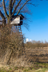 Anitz am Rande des Vogelreservats in Windischleuba