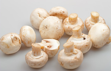 Close-up  mushrooms - cep to background