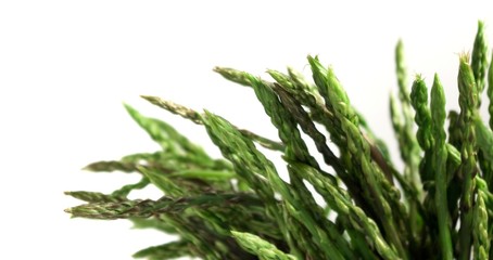 Asparagus Acutifolius