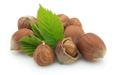 Hazelnuts