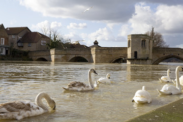 Water rises high in  stormy weather St Ives, Cambridgeshire, UK