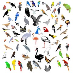 vector color clip-art of bids
