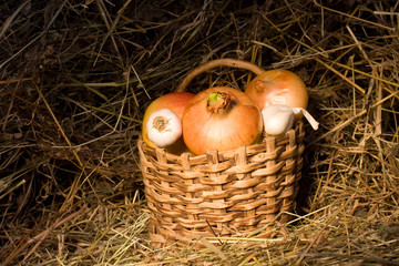 onion vegetables in pannier