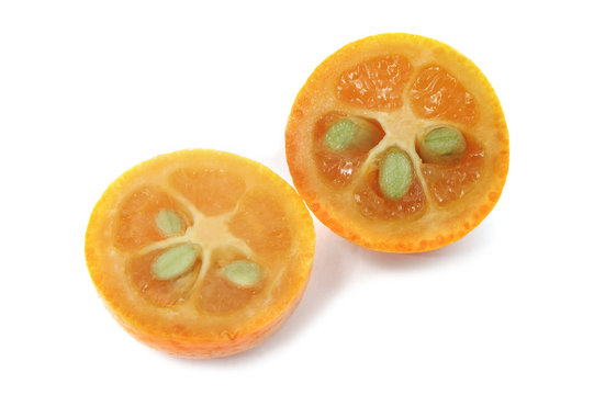 kumquat