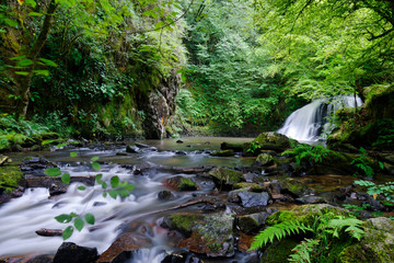 les cascades de murel