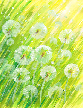 Background with dandelions watercolor painted