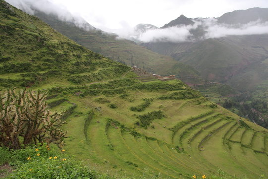 Inca agricultural terraces Pisac2