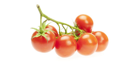 juicy tomatoes isolated on white